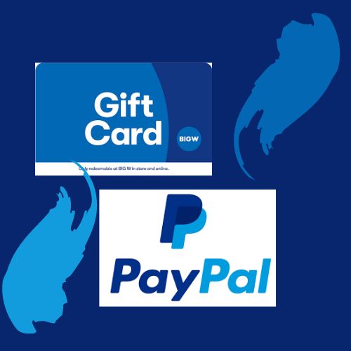 New PayPal Gift Card